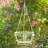 One Allium Way® Box-924803057