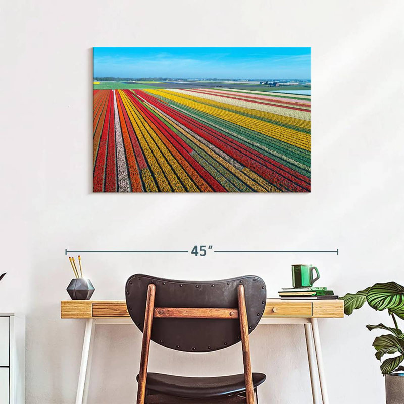 Alvord Endless Tulip Farm, 24" H x 36" W
