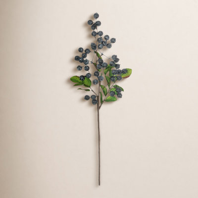 Berry Stem