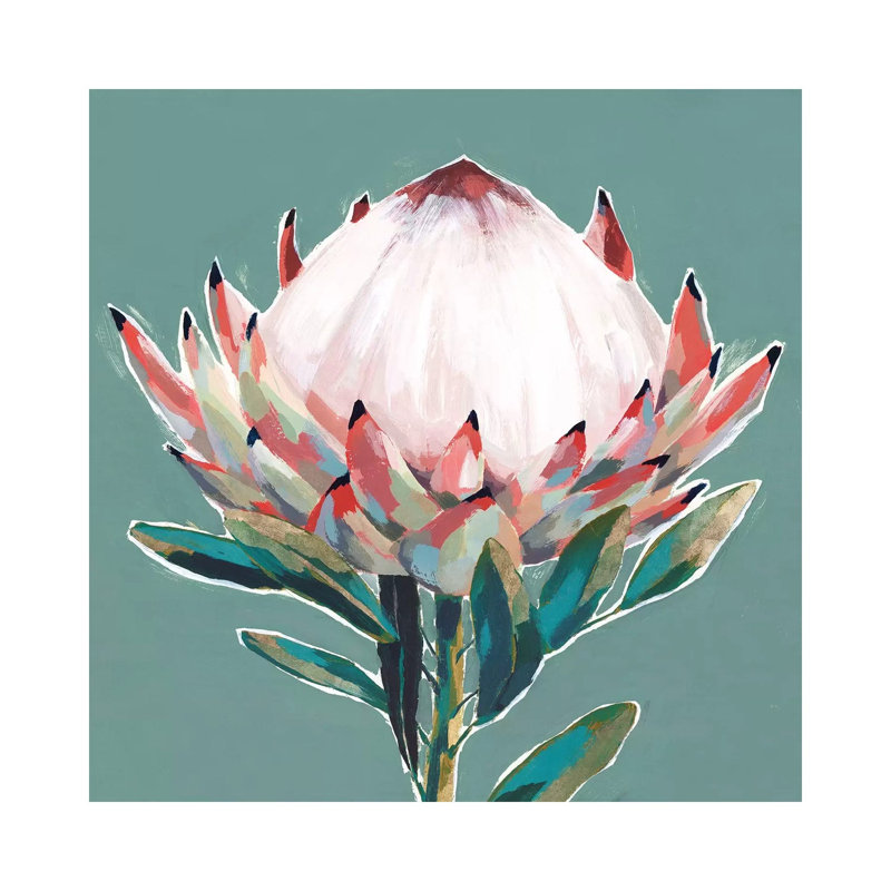 Blooming King Protea by Isabelle Z - Painting on Canvas, Wrapped Canvas, 30.48 cm H x 30.48 cm W