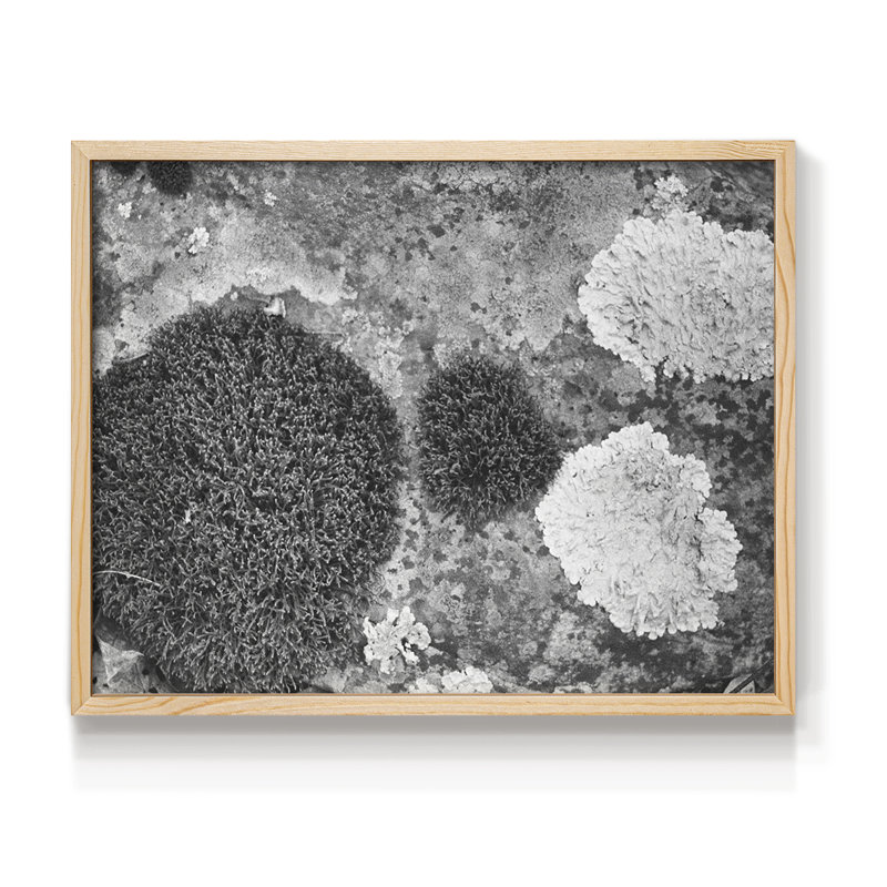 Found Textures XIX -Framed Print - Restickable, Natural, 22" H x 28" W