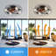 Ventilateur de plafond de style industriel de 20 pouces avec moteur à courant continu réversible à télécommande 6 vitesses Wind E26 noir mat pour chambre à coucher