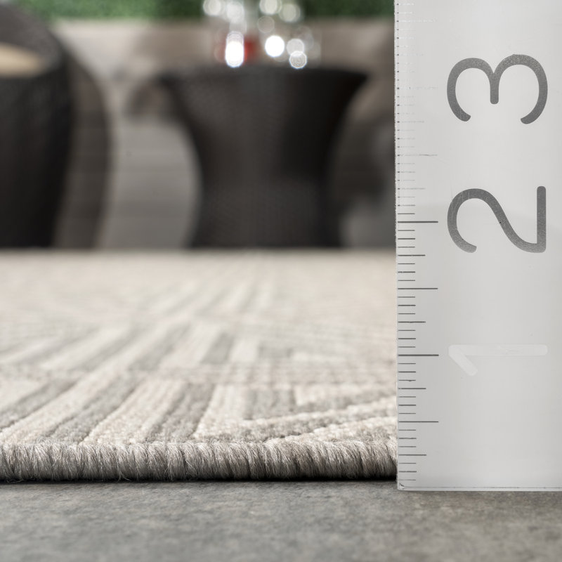 Tapis gris intérieur / extérieur Ifeyinwa, Rectangle 8 pi x 10 pi