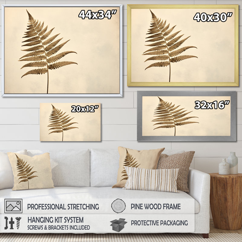 " Beige Ferns Plant Timeless Elegance II ", H 16 po x l 32 po x P 1 po, Cadre simple blanc