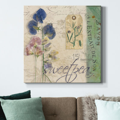 " Sweet Pea "