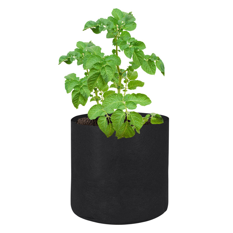 Pot de 10 pièces en plastique Anielka, H 8,7 po x l 9,8 po x P 9,8 po