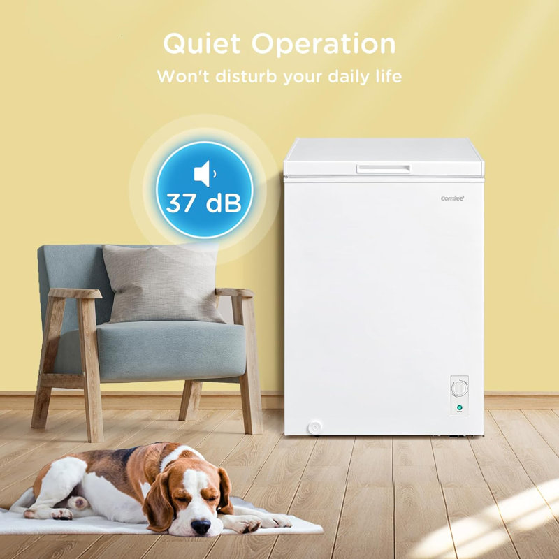 Brayden Studio 0.143m³ L Mini Fridge