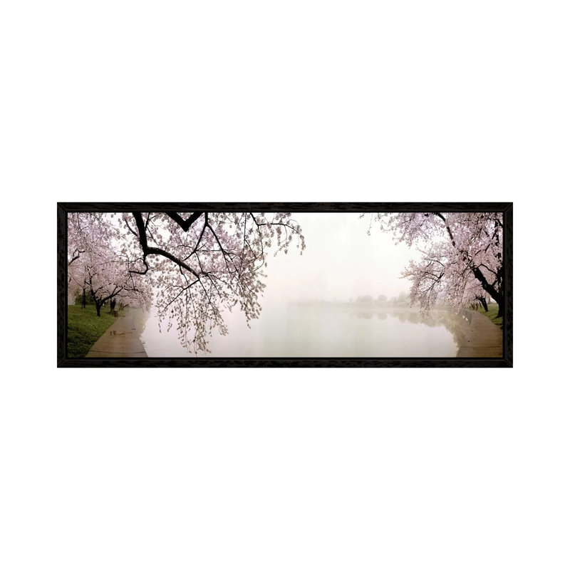 Cherry blossoms at the lakesideWashington DC, USA 1 Piece Floater Frame Panoramic Wall Art on Canvas, Black