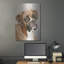 «Boxer» par Janet Pidoux-1553116449