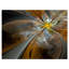 Symétrique fleur jaune fractal - impression d'art graphique-21972013-35122443-119384389