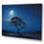Wrapped Canvas