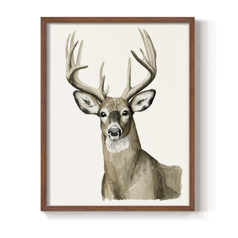 «Handsome Whitetail I», reproduction encadrée - bois massif, Noyer, H 30 po x l 24 po