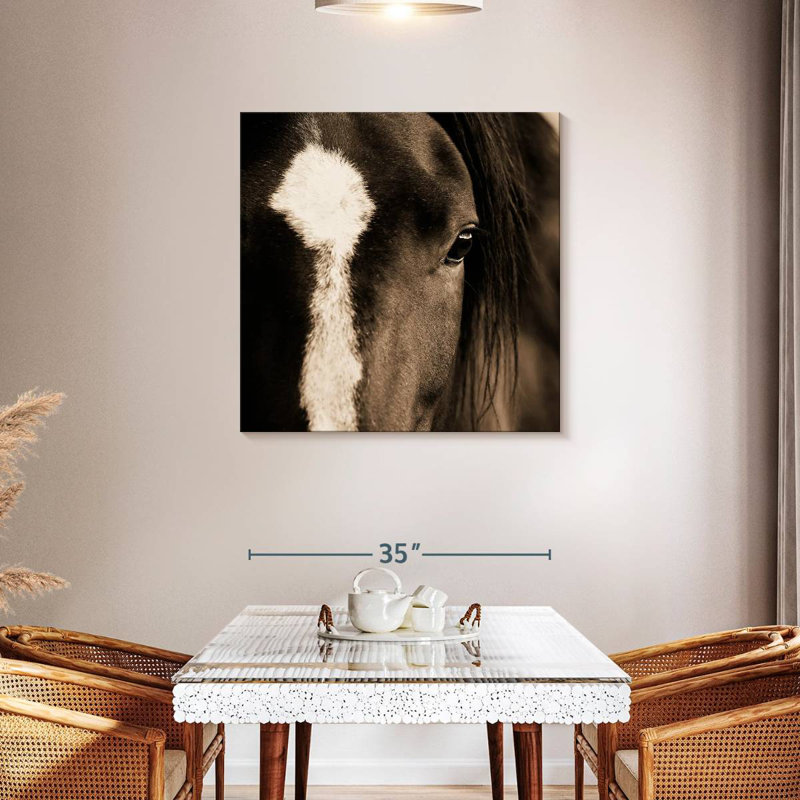 Brampt Dark Eyes, 36" H x 36" W