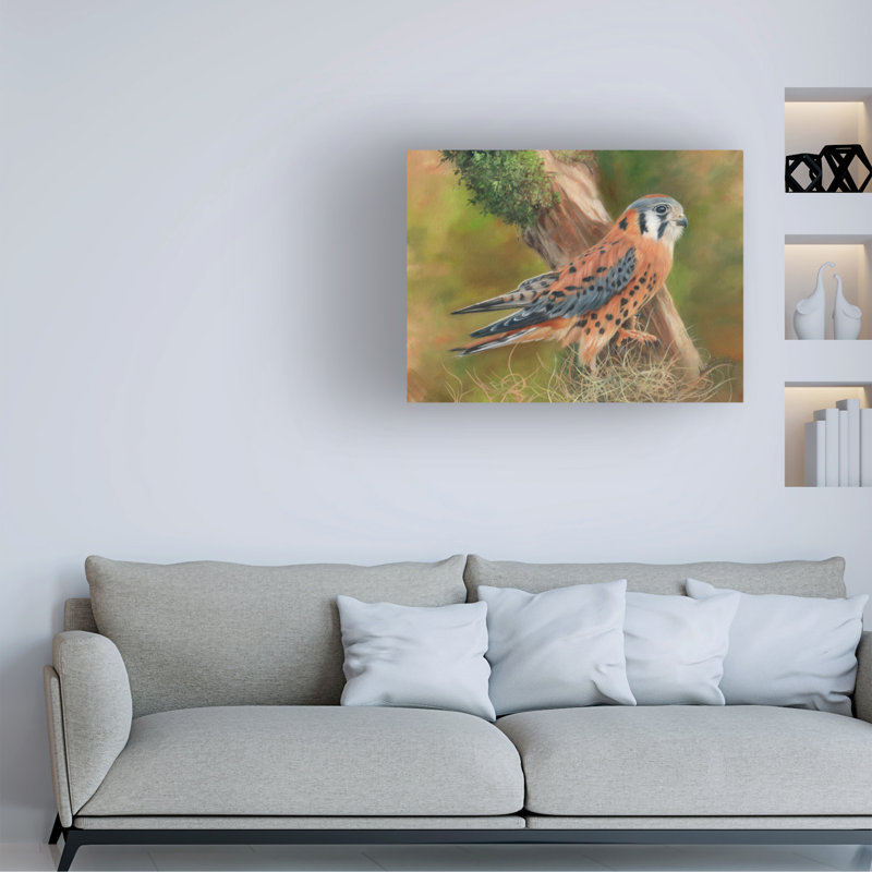 Art sur toile David Stribble American Kestrel, H 24 po x l 32 po