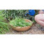 Pot de fleurs rond en polyrésine pour l'extérieur 20,75 po x 20,75 po x 11,5 po Ascend-1833277701-1780992739-1780992736