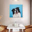Crowle Happy Border Collie-111901875