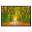 «Fall Greenery and Road Straight Ahead», impression-35061963-26686577