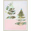 Ferns Manifested 1 Framed Print-2024515726