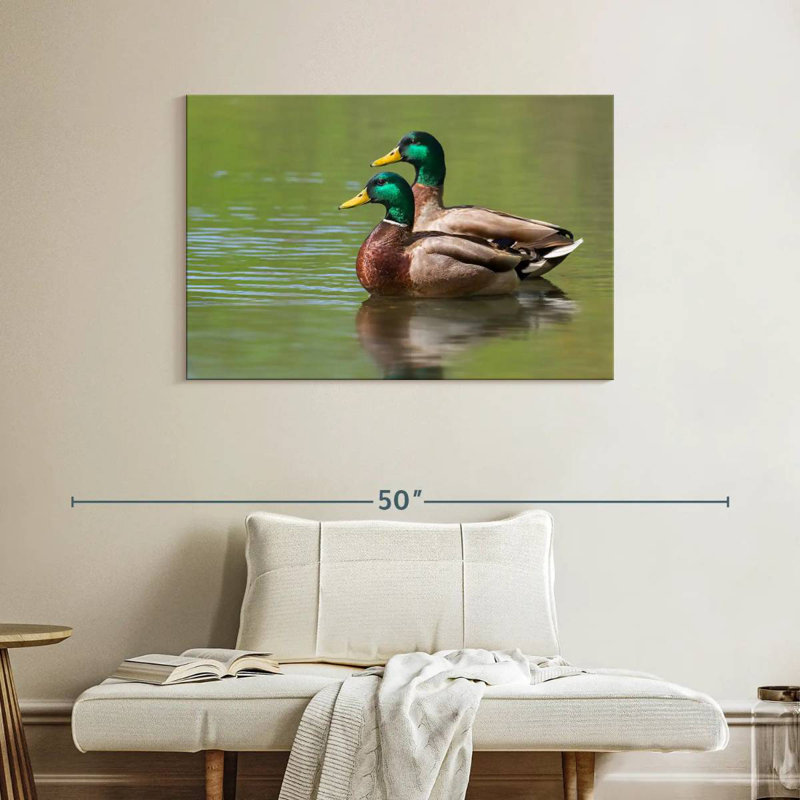 Couple de canards colverts Brampt, H 26 po x l 39 po