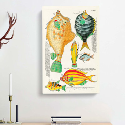 East Indies Fish Illustrations VI by Louis Renard - Wrapped Canvas