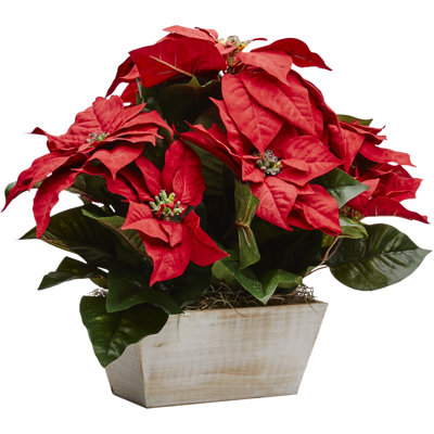 Poinsettia Floral Arrangements in Planter