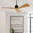  Adler 52 Indoor Ceiling Fan with Natural Honey ABS blades and Handheld Remote-973180224-973180226