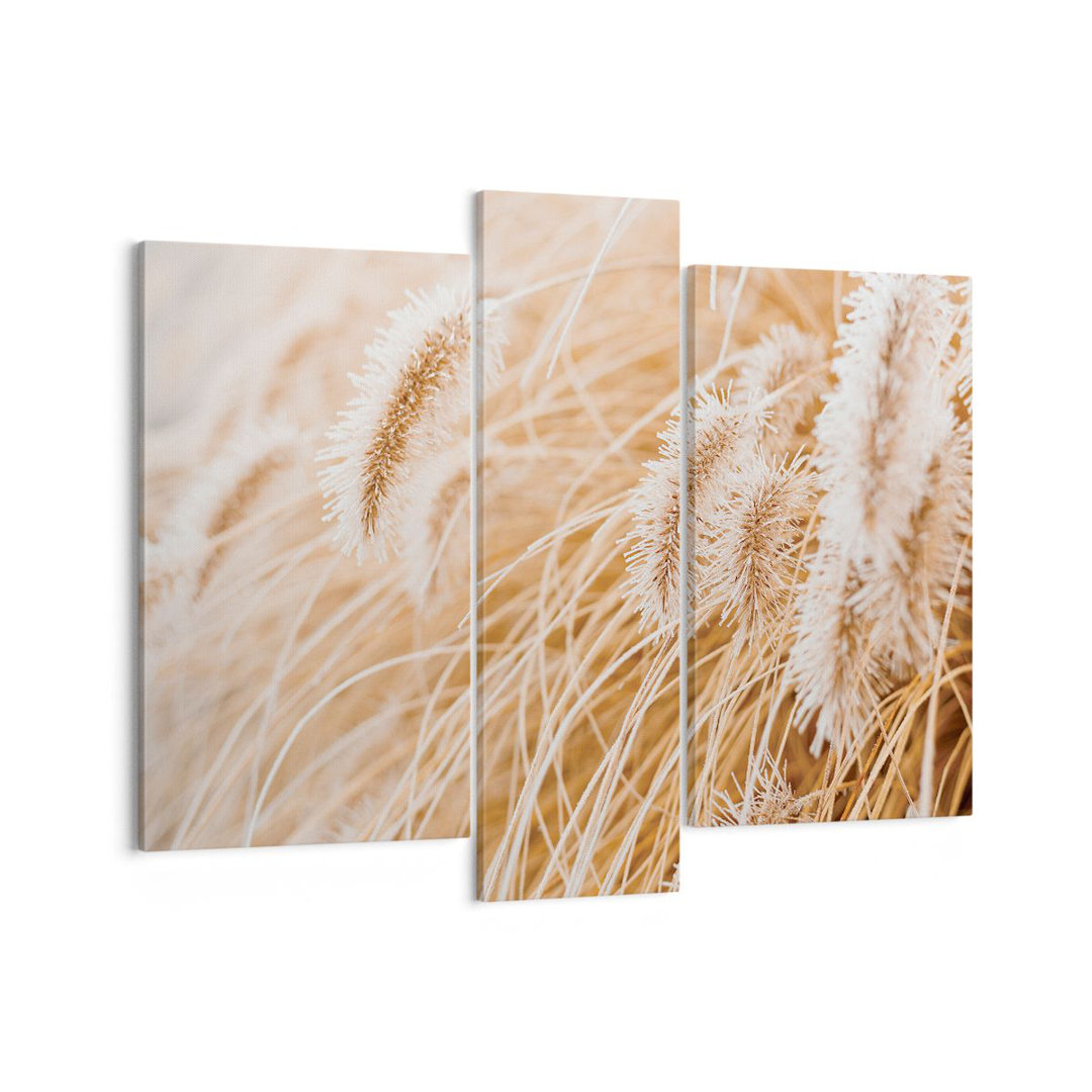 3-tlg. Leinwandbilder-Set Grass Boho Light