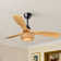 52'' Abs Ceiling Fan Light With Rattan Shade And Remote Control Included