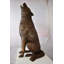 Statue en bronze Deantay Hurlant regardant vers le ciel, taille: 19 po x 19 po x H 36 po