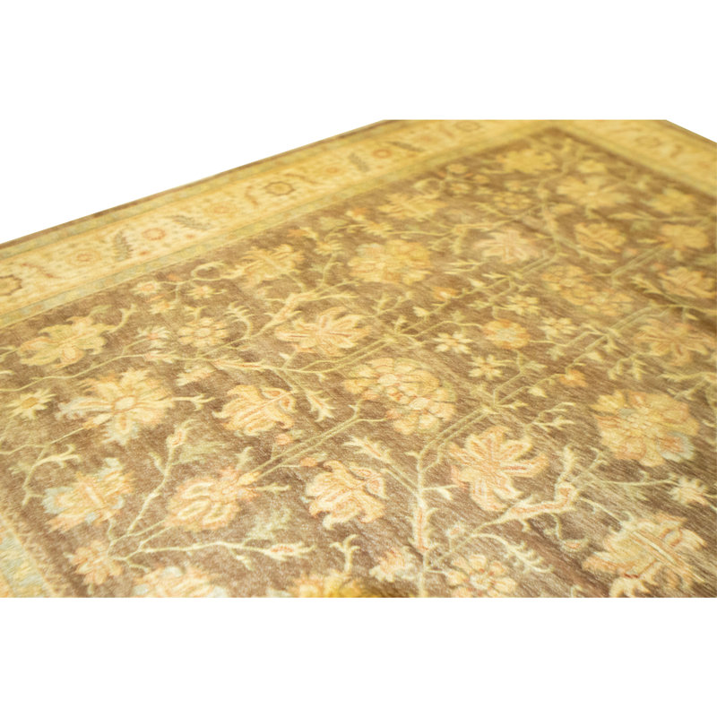 Hand Knotted Wool Oriental Area Rug in Brown And Ivory