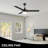 Advait 52'' Ceiling Fan with LED Lights