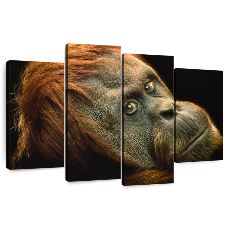 Brampt Dramatic Orangutan, 48"H x 75"W
