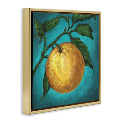«Citrus Fruit on Branch», art mural sur toile flottante par Connie Resch