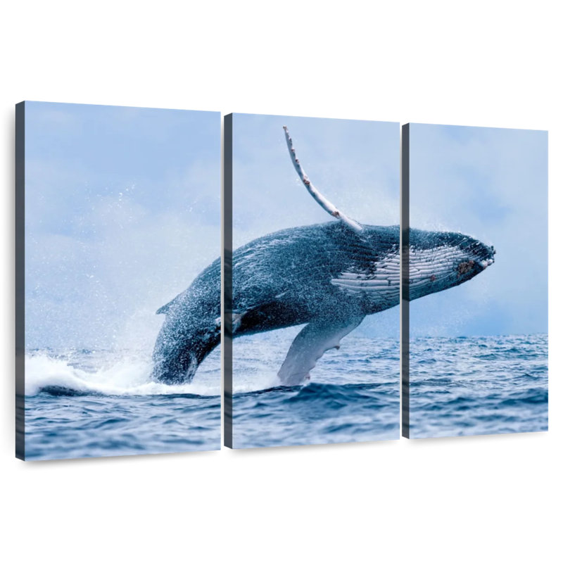 Brampt Leaping Humpback Whale, 48" H x 74" W