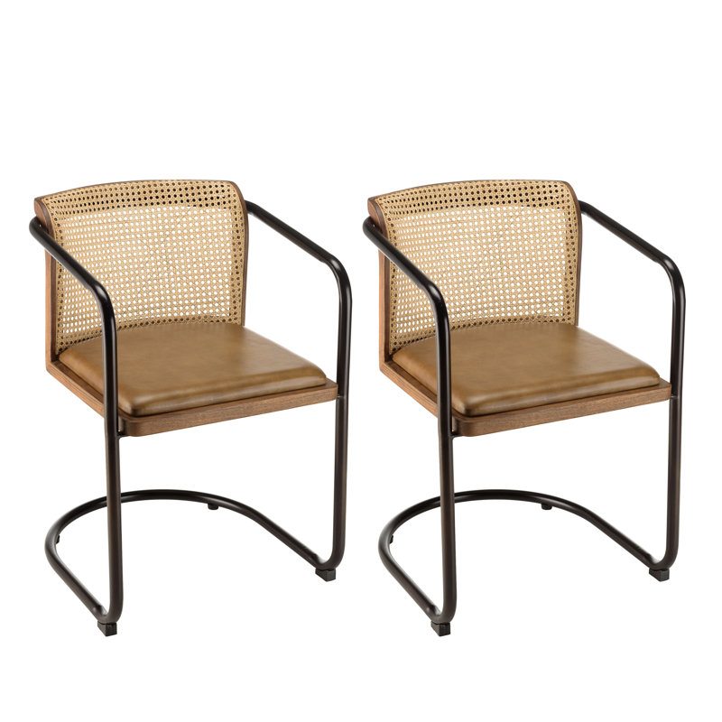 Alphon Armchair in Brown