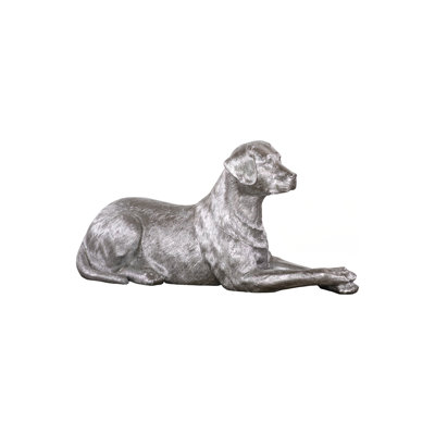 Labrador, couché