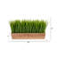 Gazon artificiel 10 po en pot
