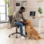 Chaise de bureau Maddoux-310375963