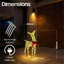 Decoration