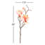Magnolia - 20 Inches Box of 12-522962811