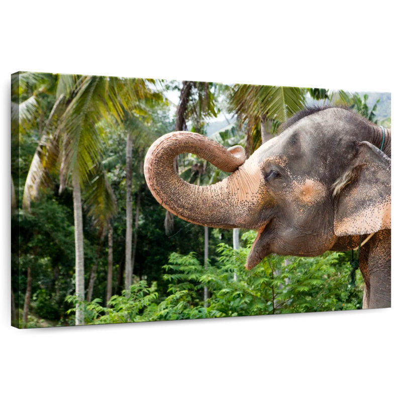 Brampt Smiling Asian Elephant, 24" H x 36" W