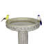 Bain d'oiseaux en béton / ciment