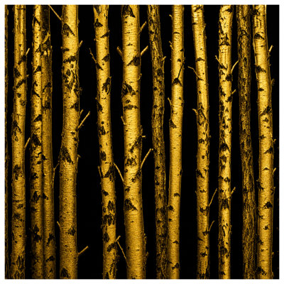Édredon Golden Birch Trees