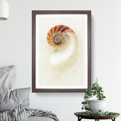 Mother of Pearl Shell - Framed Print