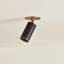 Caleb 1 Light Flush Mount
