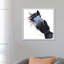 Apple Dapple Darwin by Shirley Macarthur - Floater Frame Print on Canvas-1884002178-1884002187