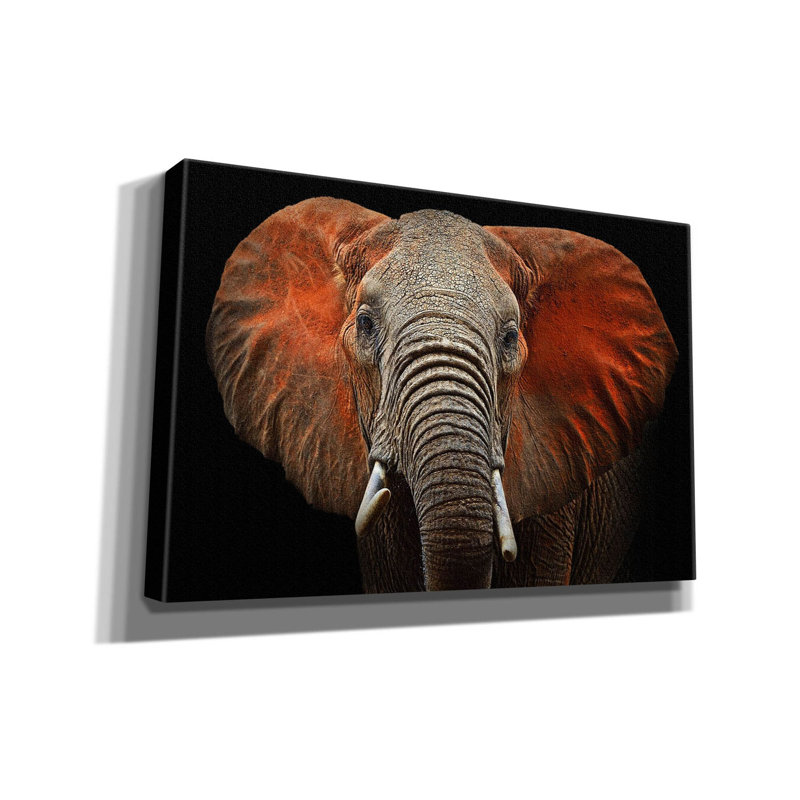 «Fire Elephant» par Epic Portfolio, art mural sur toile, H 40 po x l 60 po x P 1,5 po