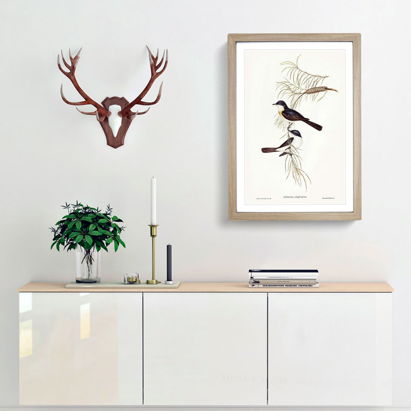 Restless Flycatcher Birds by Elizabeth Gould - Picture Frame Painting Print, 48cm H x 36cm W x 2cm D, Oak Framed