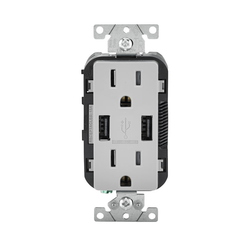 Gray 15A Tamper-Resistant Outlet with Dual USB Ports