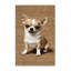  Tapis lavable Chihuahua Dogs-1620621588